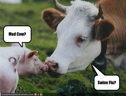 http://ggirish.files.wordpress.com/2010/01/funny-pictures-swine-flu-and-mad-cow.jpg